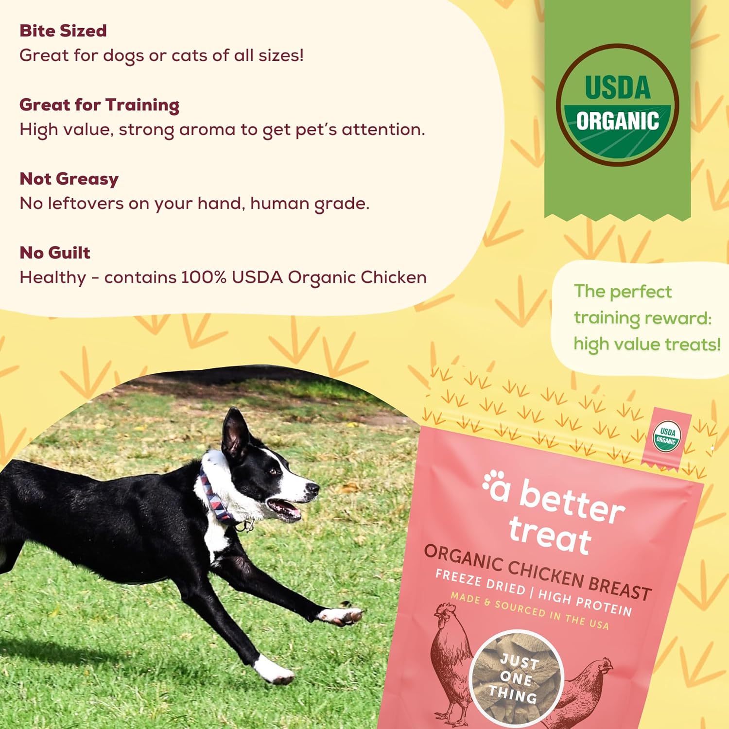 A Better Treat Freeze Dried Chicken Breast