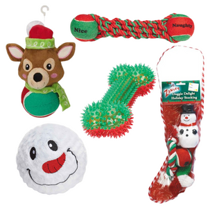 Holiday Interactive Toys (Holiday Pre-order)