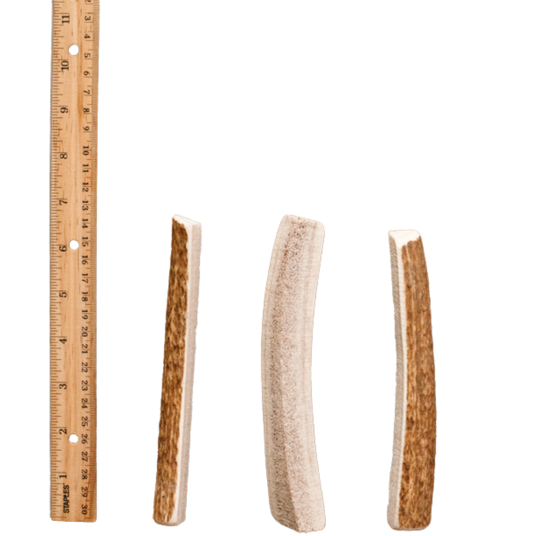 Antler Chews - Elk