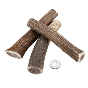 Antler Chews - Elk