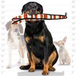 Load image into Gallery viewer, VIP® Interactive Toys for the Holidays
