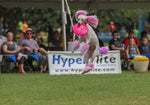 Load image into Gallery viewer, Hyperflite Dog Discs
