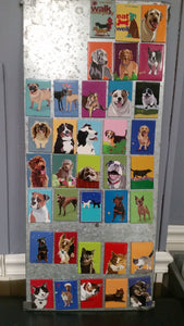 Breeds Magnets