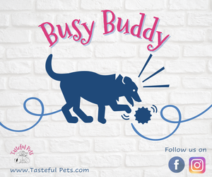 Busy Buddy - Bargain Bundle