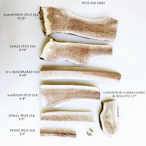 Antler Chews - Elk