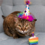 Load image into Gallery viewer, Funfetti Cake Plush Catnip Toy
