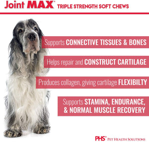 Joint Max Triple Strength Chews