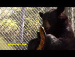 Load and play video in Gallery viewer, Tuffy Ultimate Ring Toy
